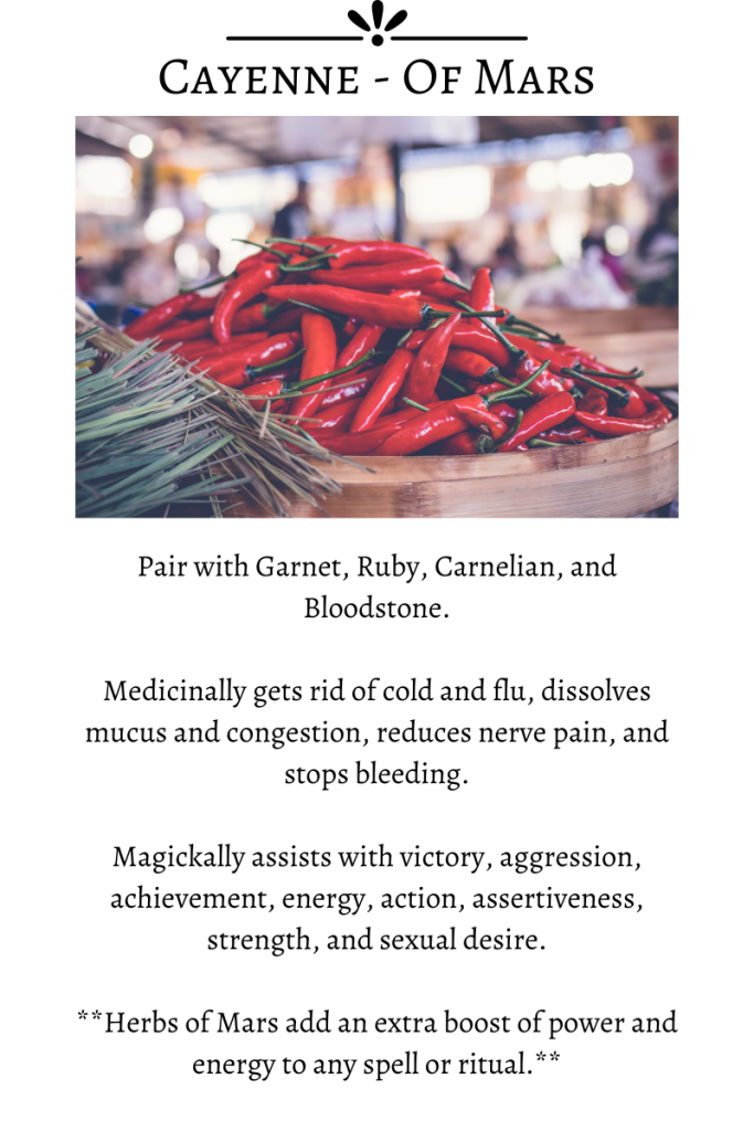 6 Herbs & Spices To Enhance Your Magickal & Culinary Life